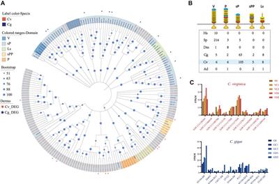 Transcriptomic Response to Perkinsus marinus in Two Crassostrea Oysters Reveals Evolutionary Dynamics of Host-Parasite Interactions